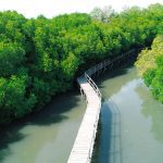 Taman Hutan Raya Bali